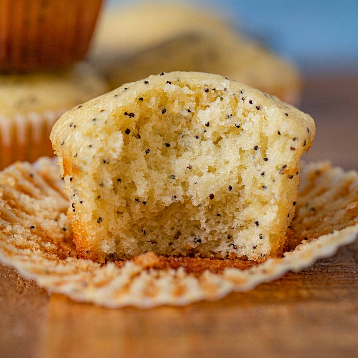 Elegant Poppy seed Muffins