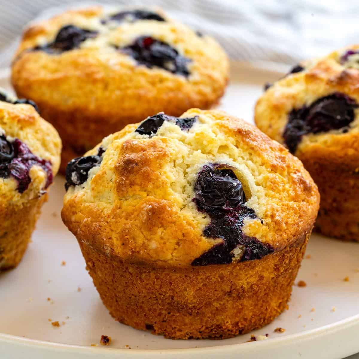 Ravaging Blueberry Muffin