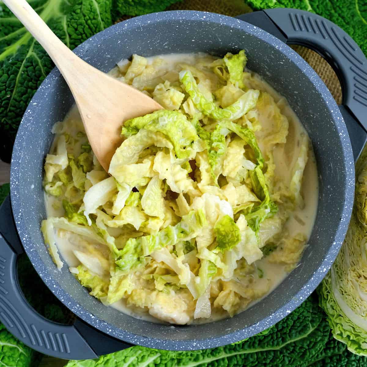 Amazing Green Creamy Cabbage